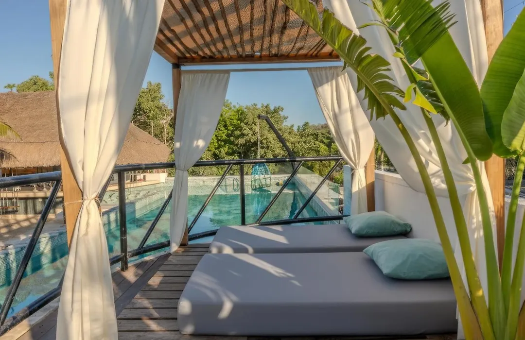 Mayan Monkey Tulum - Social Hostel (Adults Only)-1