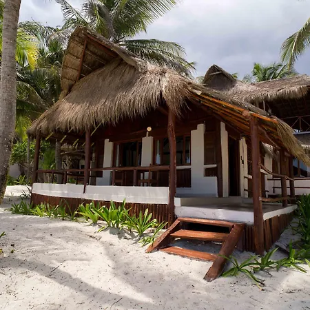 Bt Live Tulum Located At The Party Zone-3